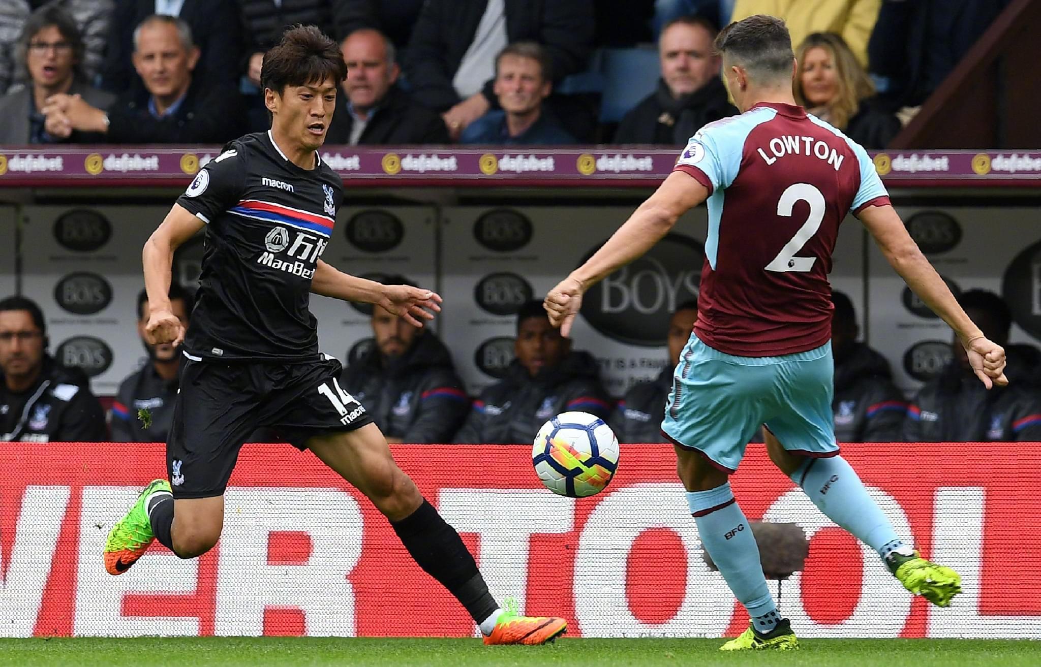 鲜明对比的 鲜明对比的