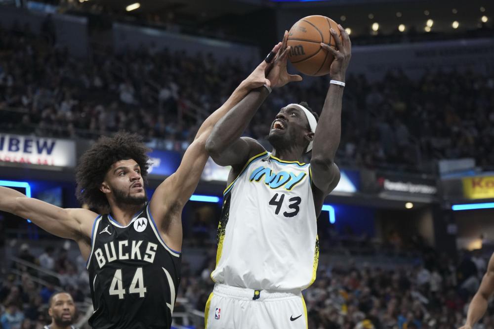 尽管小将梅 尽管小将梅